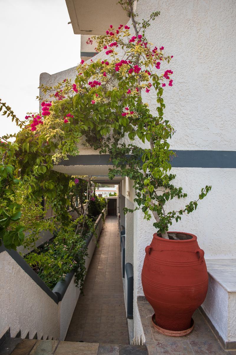 Fevro Hotel Agia Galini Extérieur photo