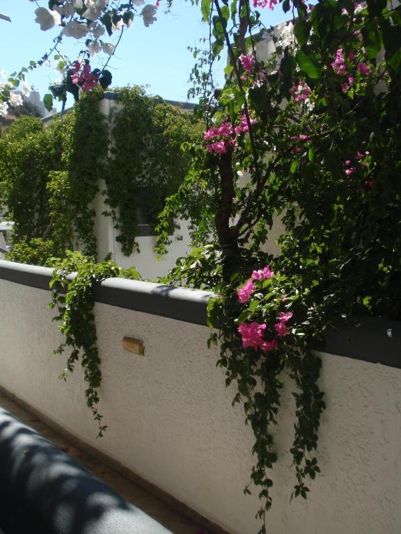 Fevro Hotel Agia Galini Chambre photo