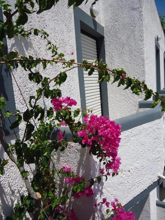 Fevro Hotel Agia Galini Extérieur photo